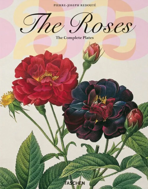 Les Roses — Mila Petry